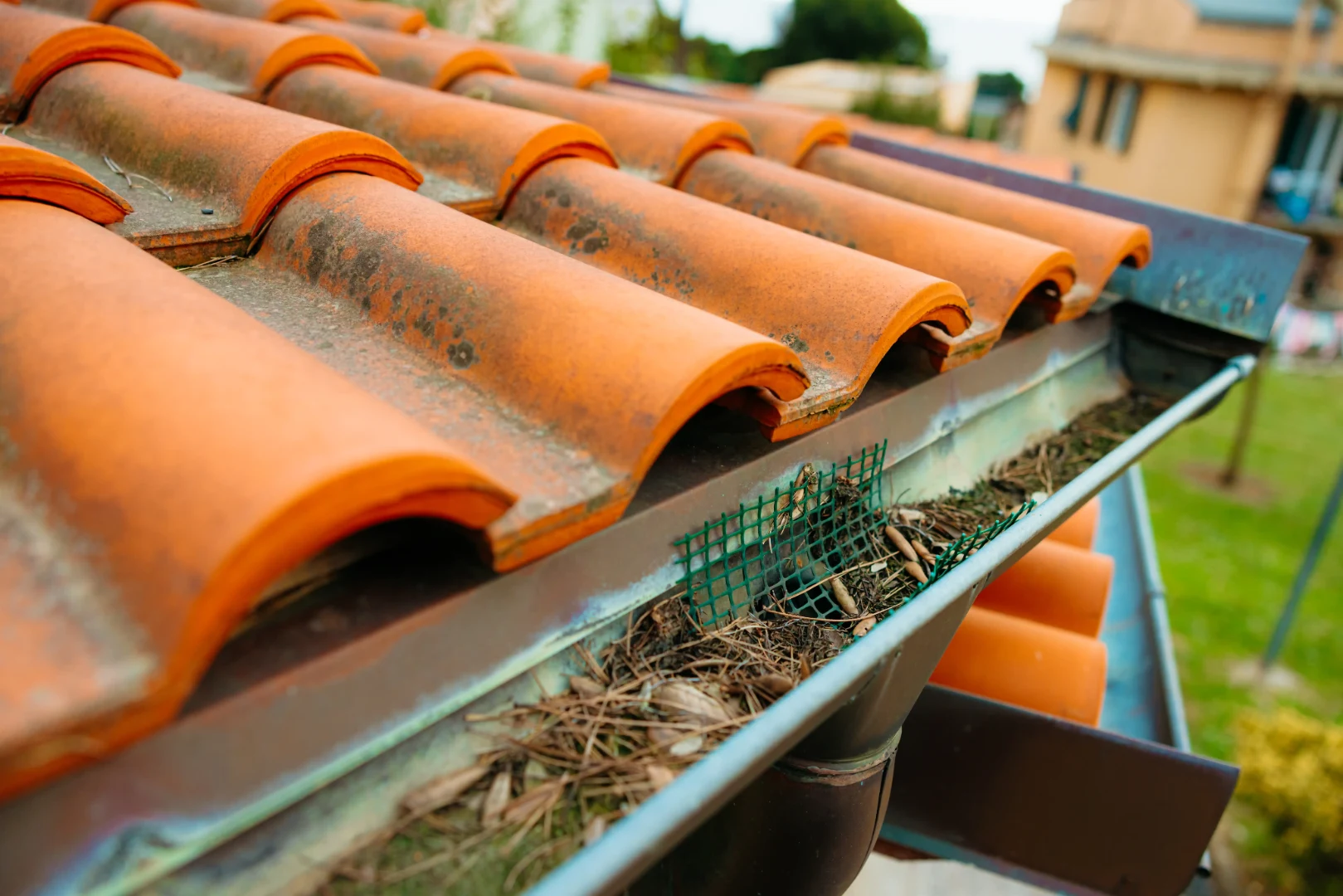 Debris collected inside a roof gutter near roof tiles