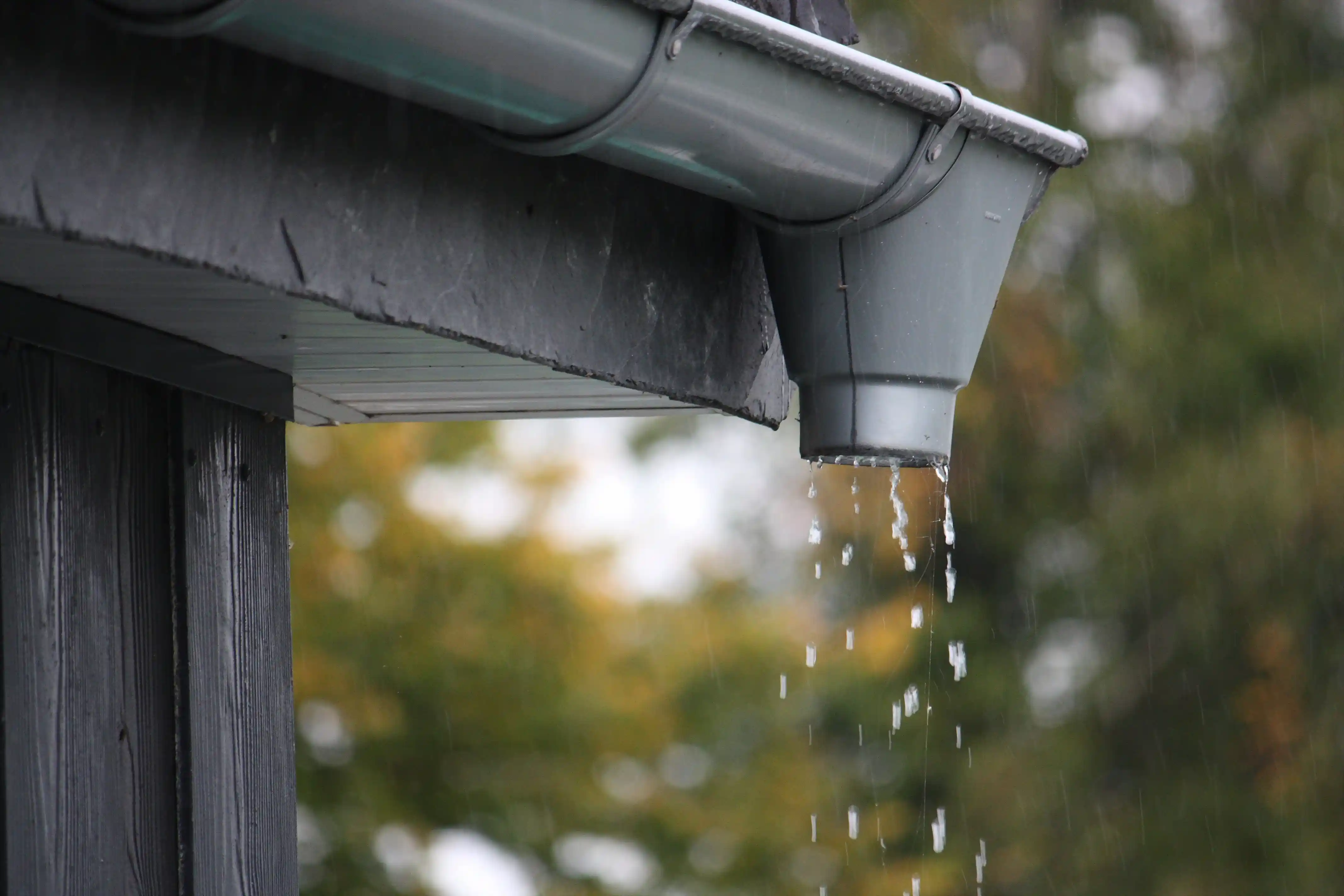 Rain water dripping from a roof gutter during wet weather